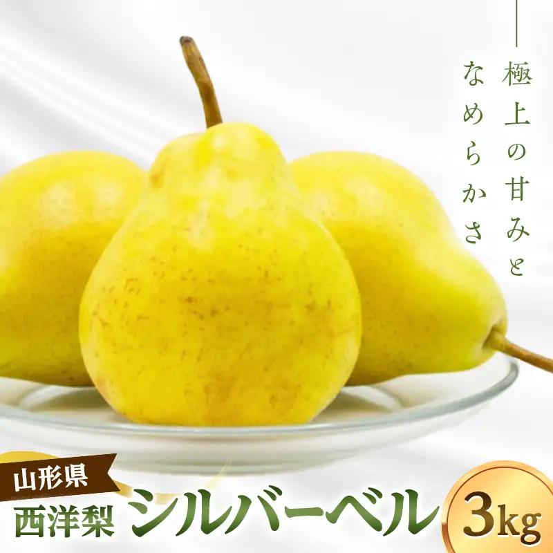 シルバーベル 3kg FSY-2905