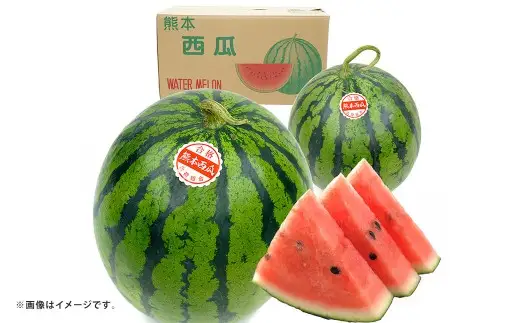 大玉すいか 1玉入り S以上 約2kg 先行予約 スイカ 西瓜 すいか 熊本すいか 果物 くだもの 果実 フルーツ 【 2027年5月上旬 ～ 6月下旬 発送予定 】