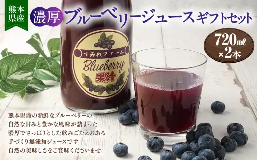 熊本県産 濃厚 ブルーベリー ジュース ギフト セット 720ml×2本 合計1440ml  飲料 果汁飲料 無添加 フルーツ 果物 くだもの