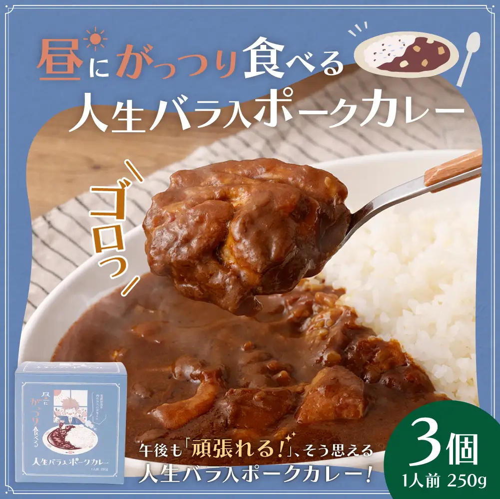 昼にがっつり食べる人生バラ入ポークカレー 250g （ 3個セット ） 計750g