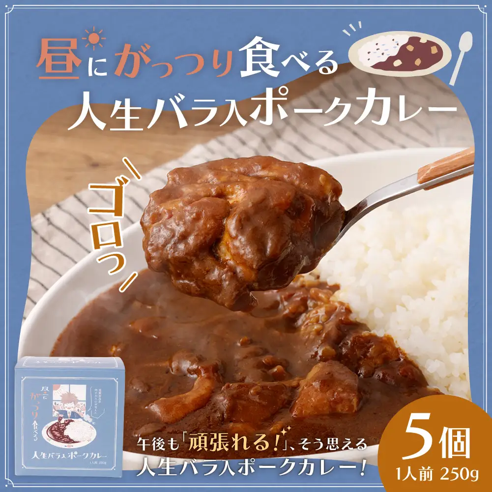 昼にがっつり食べる人生バラ入ポークカレー 250g （ 5個セット ） 計1,250g
