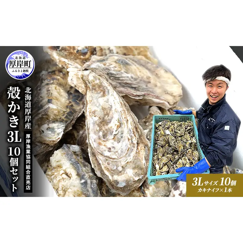 牡蠣 殻付き 生食 3L10個 北海道 厚岸産 マルえもん【厚岸漁業協同組合】カキナイフ付 [ カキ かき 生牡蠣 殻かき オイスター 冷蔵 ］