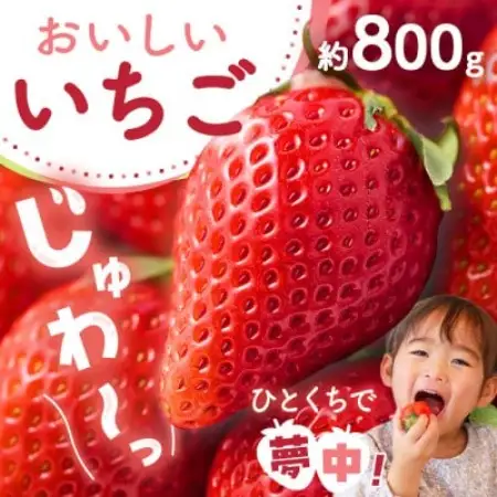 【先行予約 2027年1月中旬以降発送】旬の品種を厳選 至福の完熟いちご 約800g【配送不可地域：離島・沖縄県】【1778753】