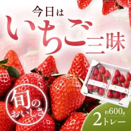 【先行予約 2027年1月中旬以降発送】旬の品種を厳選 至福の完熟いちご 約600g【配送不可地域：離島・沖縄県】【1778755】