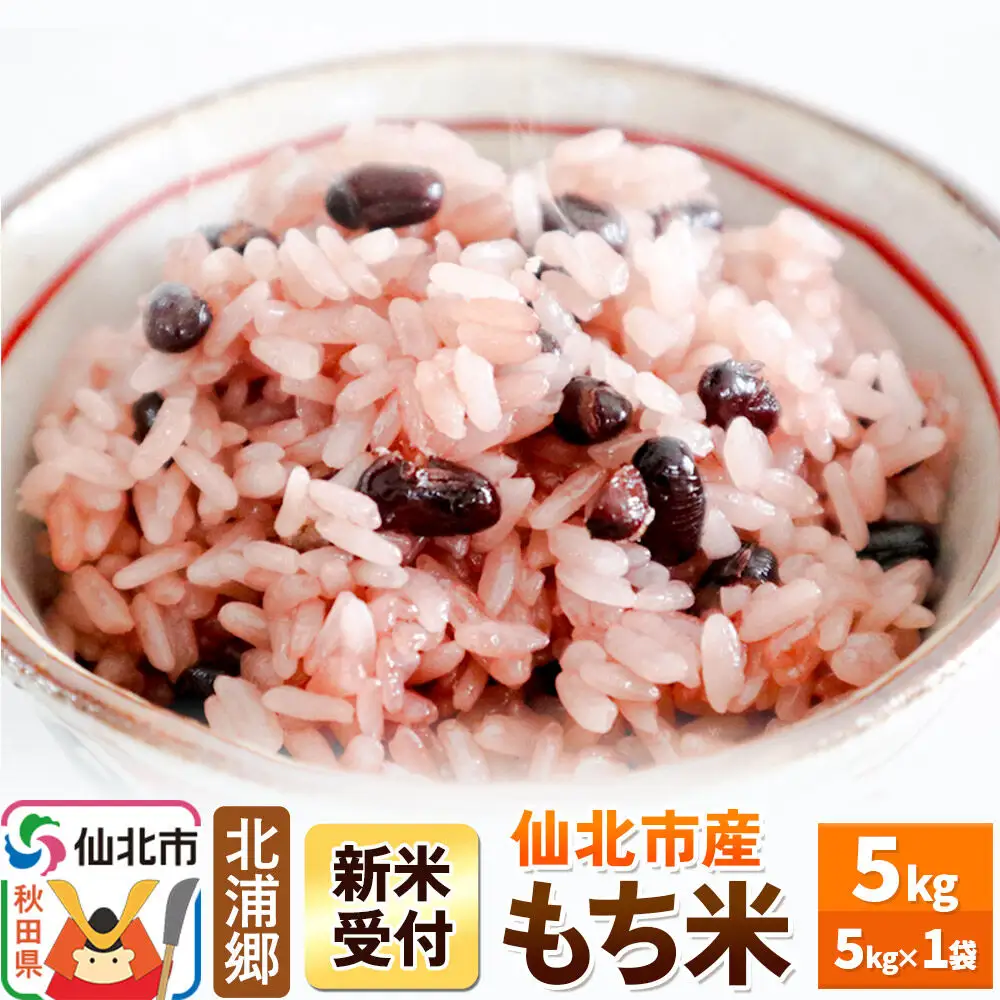 《令和8年産 新米予約》もち米 5kg1袋 米 仙北市産