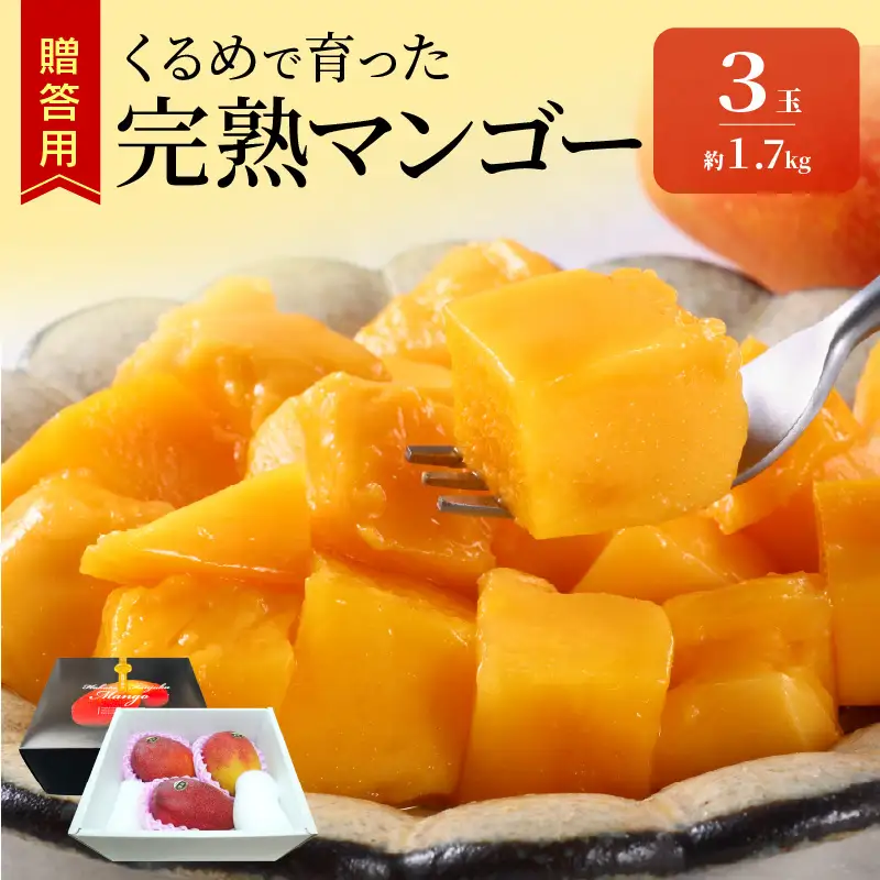 【2027年6月以降お届け】くるめで育った完熟マンゴー（3玉：約1.7kg） 〔Fm010-03-17〕