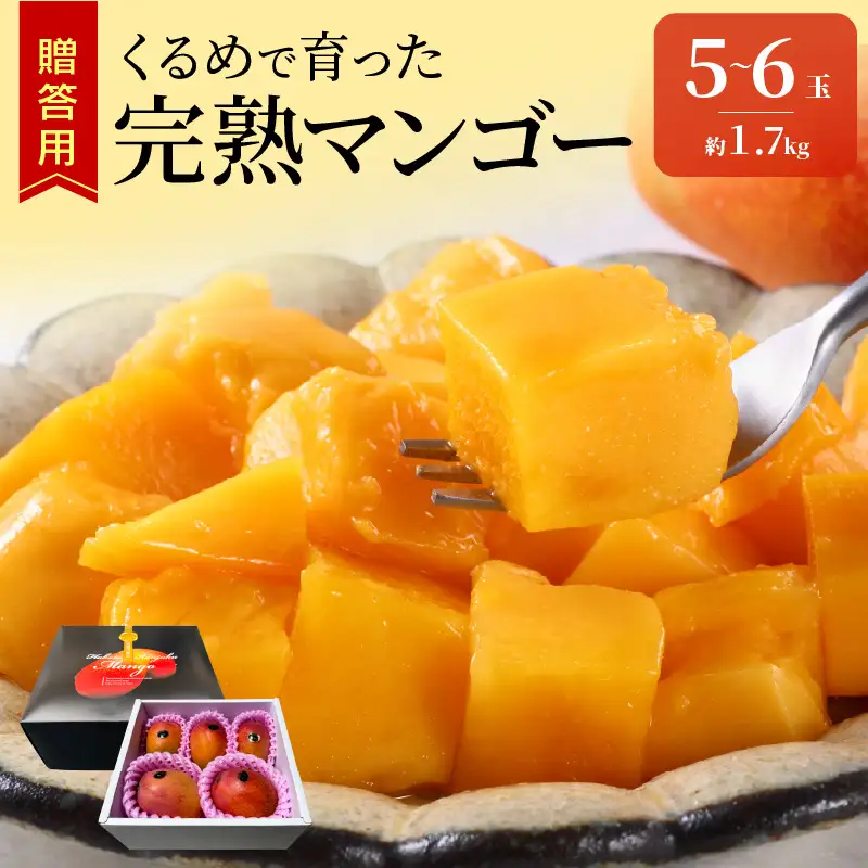 【2027年6月以降お届け】くるめで育った完熟マンゴー（5～6玉：約1.7kg） 〔Fm010-056〕