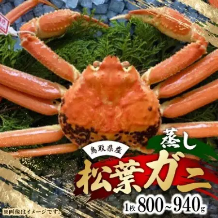 【先行予約】【蒸し】タグ付き松葉ガニ　大　1枚(800～940g前後)　※11月中旬から順次発送【配送不可地域：離島・北海道・沖縄県】【1763398】