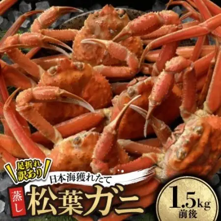 【先行予約】訳あり足が折れた蒸し松葉ガニ1.5kg前後　※11月中旬から順次発送【配送不可地域：離島・北海道・沖縄県】【1763411】