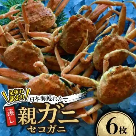 【先行予約】【蒸し】訳あり足折れ日本海産親ガニ(セコガニ)　6枚　※11月中旬から順次発送【配送不可地域：離島・北海道・沖縄県】【1763917】
