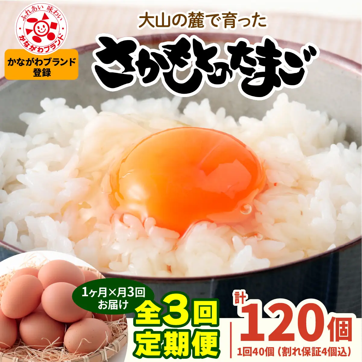 [定期便／1ヶ月×月3回] さかもとのたまご 40個 (36個＋割れ保証4個) 合計120個 [1468]