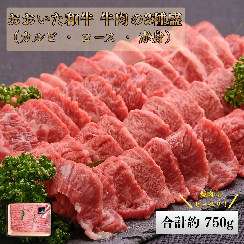 おおいた和牛 牛肉の3種盛 (カルビ ロース  赤身)  合計 750g | 津久見市