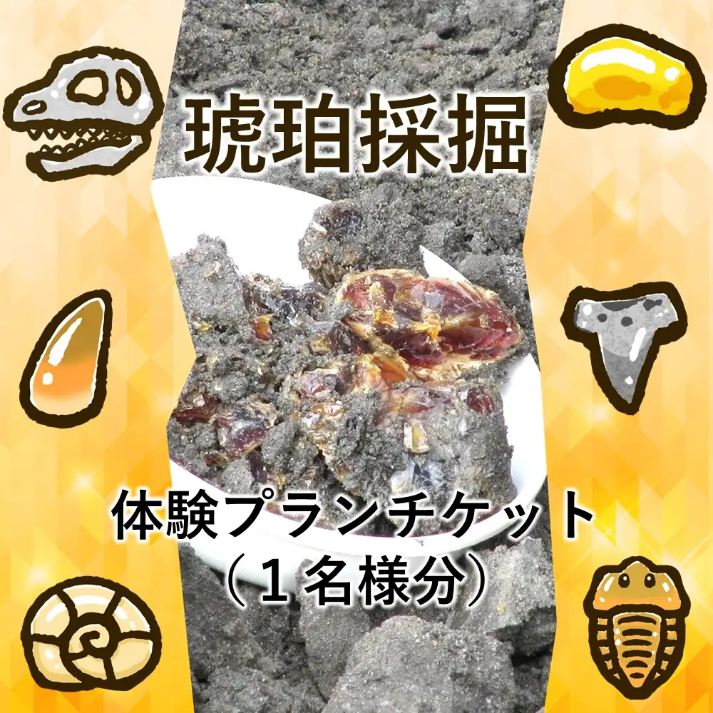 ＼恐竜時代の地層から琥珀を掘り出す本格体験／「琥珀採掘体験プラン」１名様分