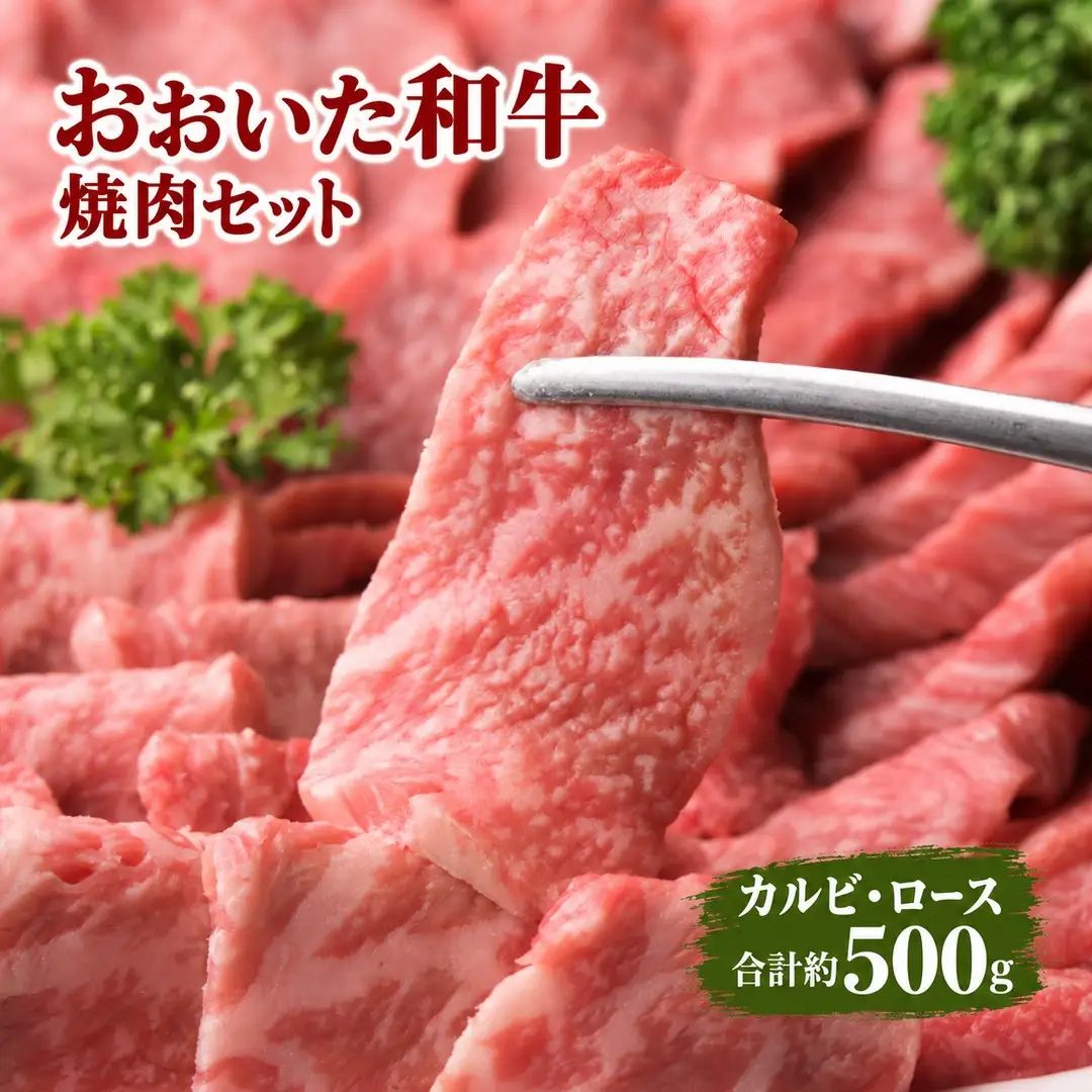 おおいた和牛 カルビ  ロース 焼肉 セット 合計 約500g | 津久見市