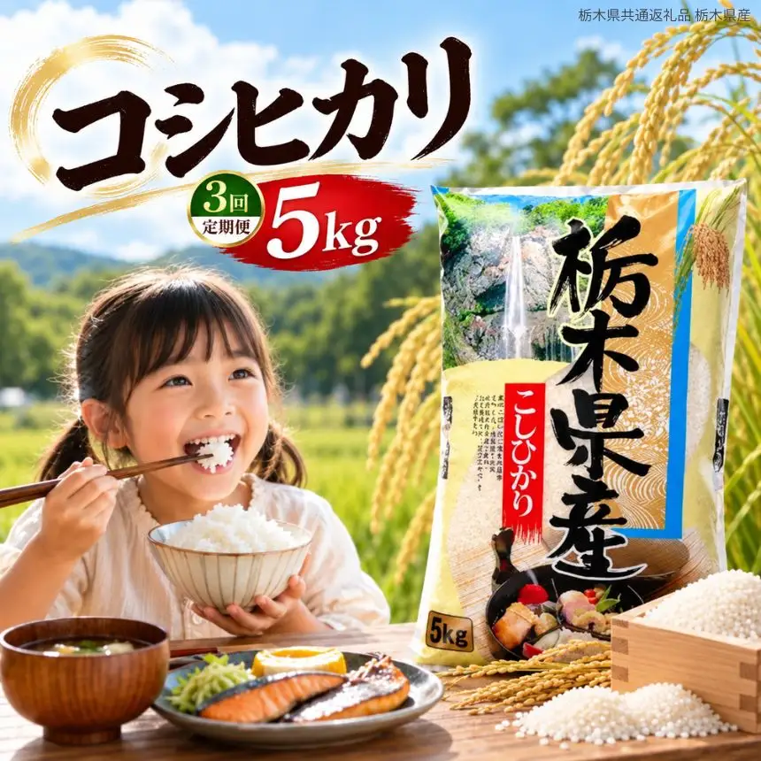 【定期3回】令和8年度産 栃木県産 こしひかり 5kg 【栃木県共通返礼品】