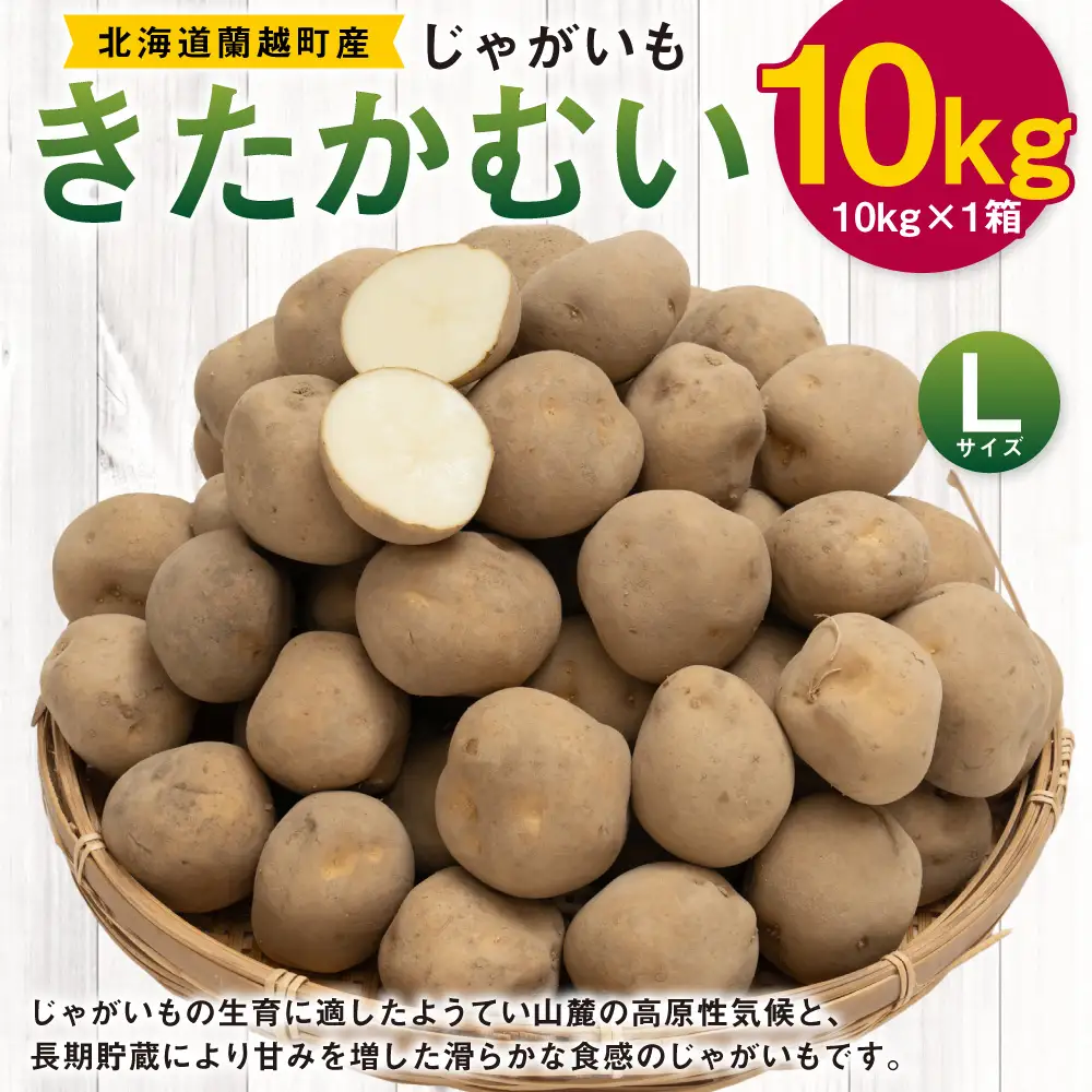 じゃがいも （ きたかむい ） Lサイズ 約10kg × 1箱 約10kg （ JA ） ジャガイモ ポテト いも イモ 芋 野菜 やさい 煮物 なめらか食感 長期貯蔵 国産 北海道産 【 2027年1月上旬～2月下旬迄発送予定 】
