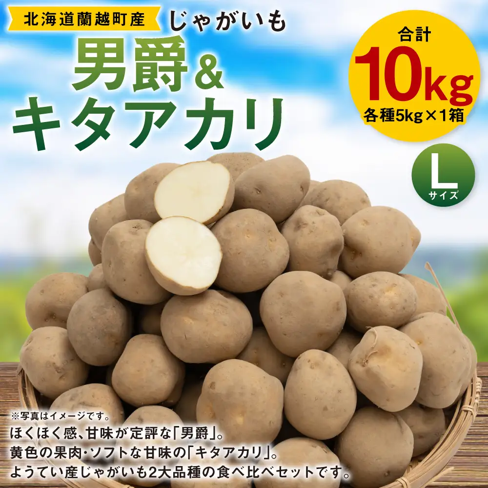 じゃがいも （ 男爵 ） Lサイズ 約5kg × 1箱 ・ じゃがいも （ キタアカリ ） Lサイズ 約5kg × 1箱 （ JA ） 計約10kg ジャガイモ ポテト いも イモ 芋 男爵イモ 野菜 やさい 食べ比べ 詰め合わせ セット 国産 北海道産 【 2026年9月下旬～12月下旬迄発送予定 】