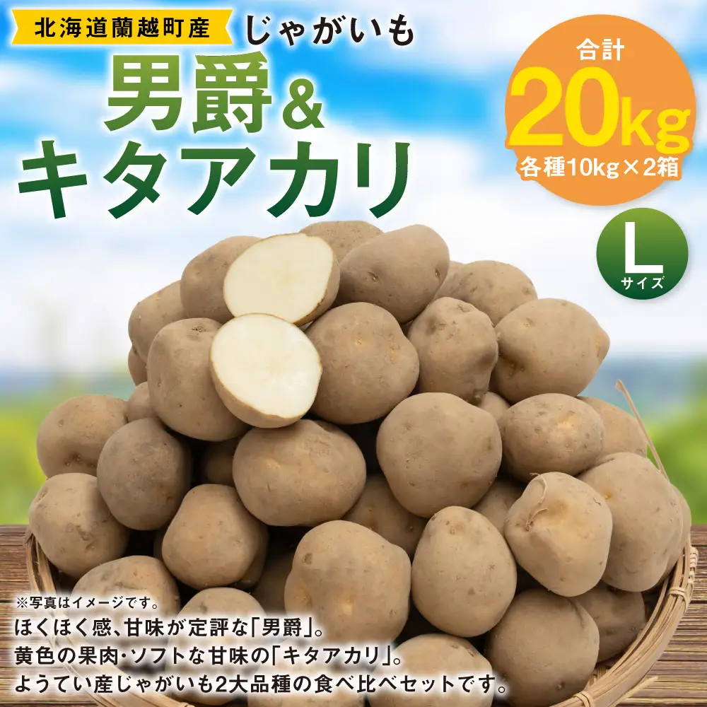 じゃがいも （ 男爵 ） Lサイズ 約10kg × 1箱 ・ じゃがいも （ キタアカリ ） Lサイズ 約10kg × 1箱 （ JA ） 計約20kg ジャガイモ ポテト いも イモ 芋 男爵イモ 野菜 やさい 食べ比べ 詰め合わせ セット 国産 北海道産 【 2026年9月下旬～12月下旬迄発送予定 】
