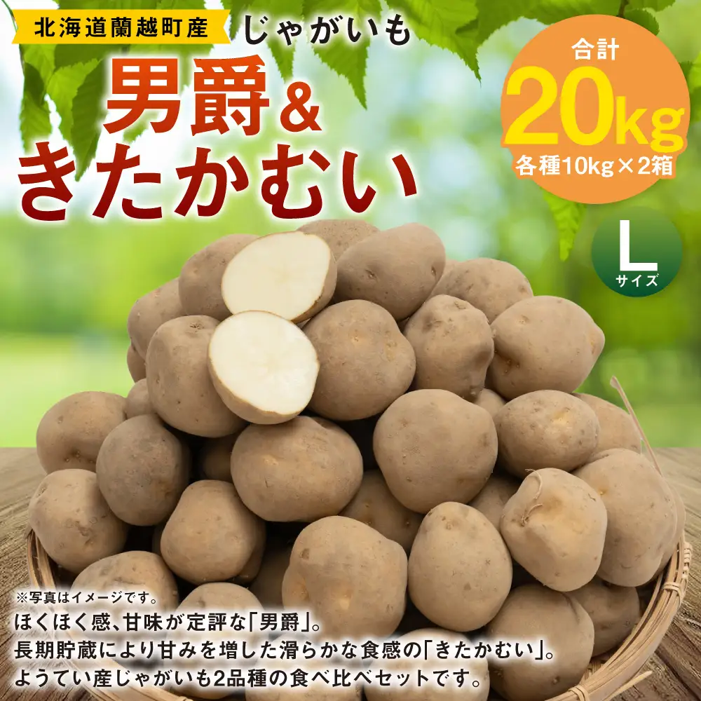 じゃがいも （ 男爵 ） Lサイズ 約10kg × 1箱 ・ じゃがいも （ きたかむい ） Lサイズ 約10kg × 1箱 （ JA ） 計約20kg ジャガイモ ポテト いも イモ 芋 男爵イモ 野菜 やさい 食べ比べ 詰め合わせ セット 国産 北海道産 【 2027年1月上旬～2月下旬迄発送予定 】