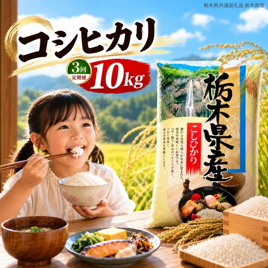 【定期3回】令和8年度産 栃木県産 こしひかり 10kg （5kg×2袋） | 【栃木県共通返礼品】