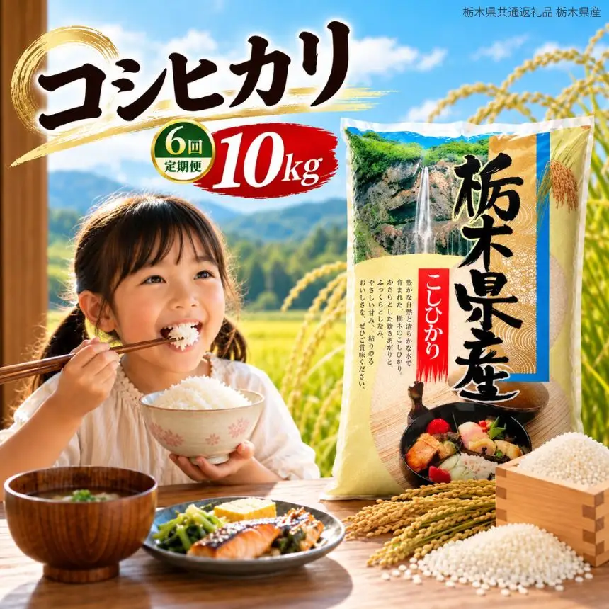 【定期6回】令和8年度産 栃木県産 こしひかり 10kg （5kg×2袋） | 【栃木県共通返礼品】