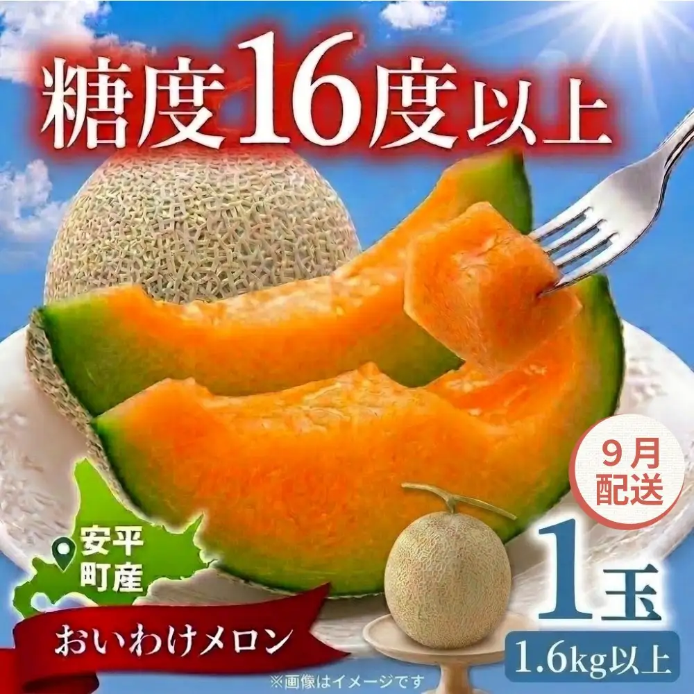 おいわけメロン 1玉 赤肉 糖度16度以上 先行予約【9月配送】
