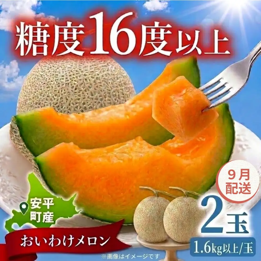 おいわけメロン 2玉 赤肉 糖度16度以上 先行予約【9月配送】