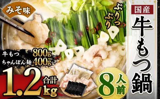 【2026年11月発送】国産 牛もつ鍋 8人前 ちゃんぽん 濃縮スープ付（みそ味）