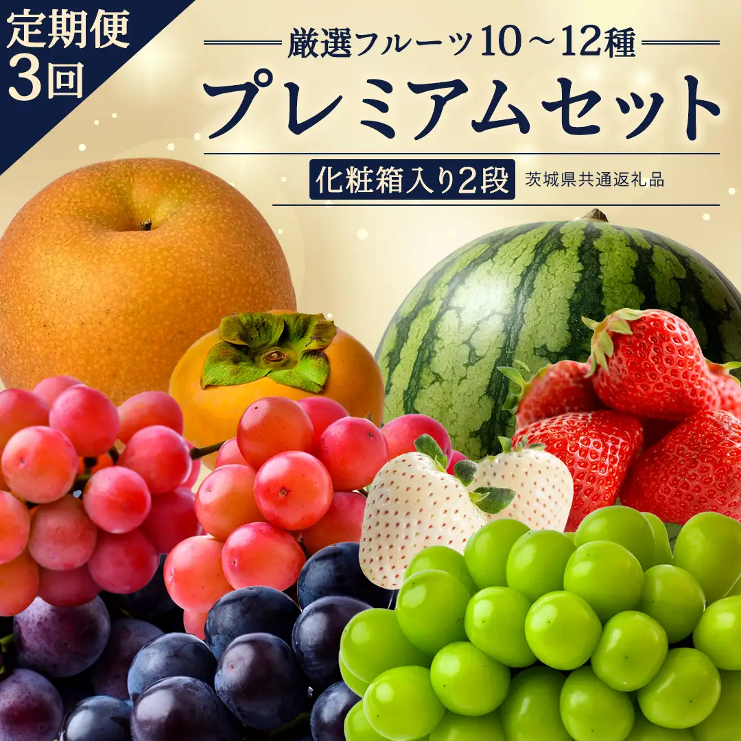 定期便【化粧箱入り2段】厳選フルーツ10〜12種プレミアムセット【毎月1回連続3か月(計3回)】（茨城県共通返礼品） 旬の果物 ギフト