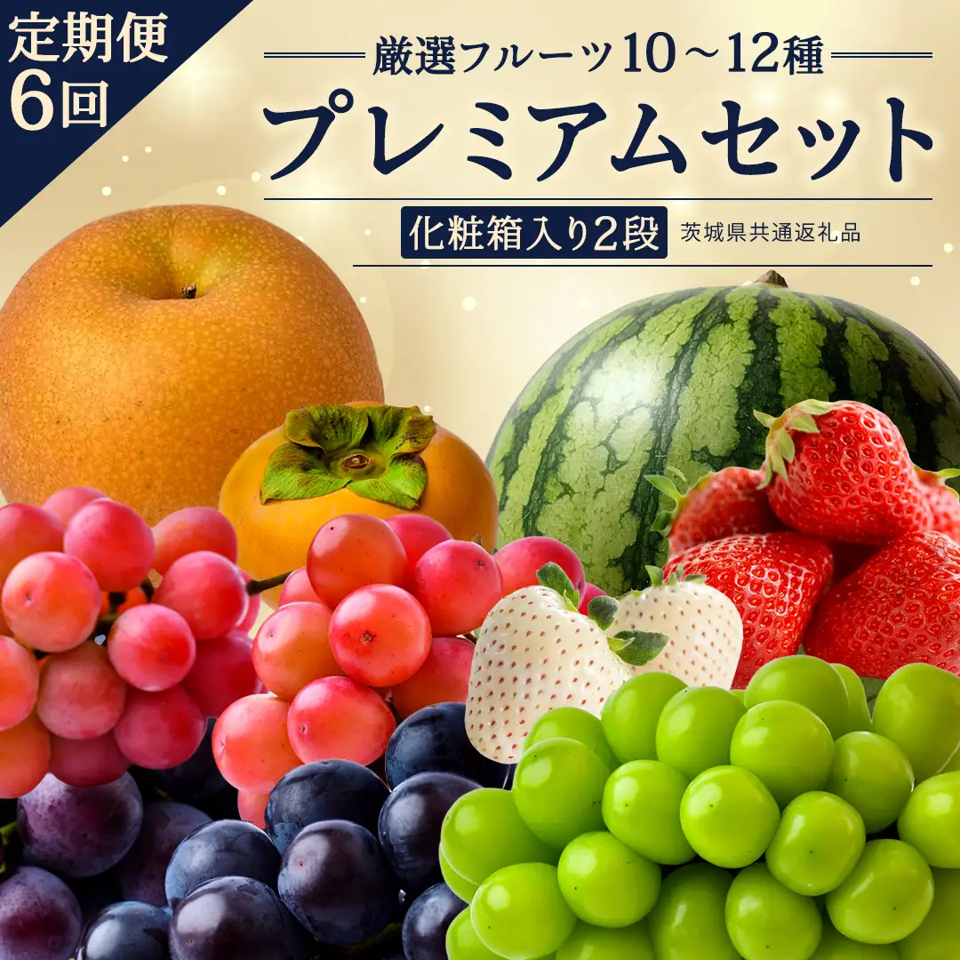 定期便【化粧箱入り2段】厳選フルーツ10〜12種プレミアムセット【毎月1回連続6か月(計6回)】（茨城県共通返礼品） 旬の果物 ギフト