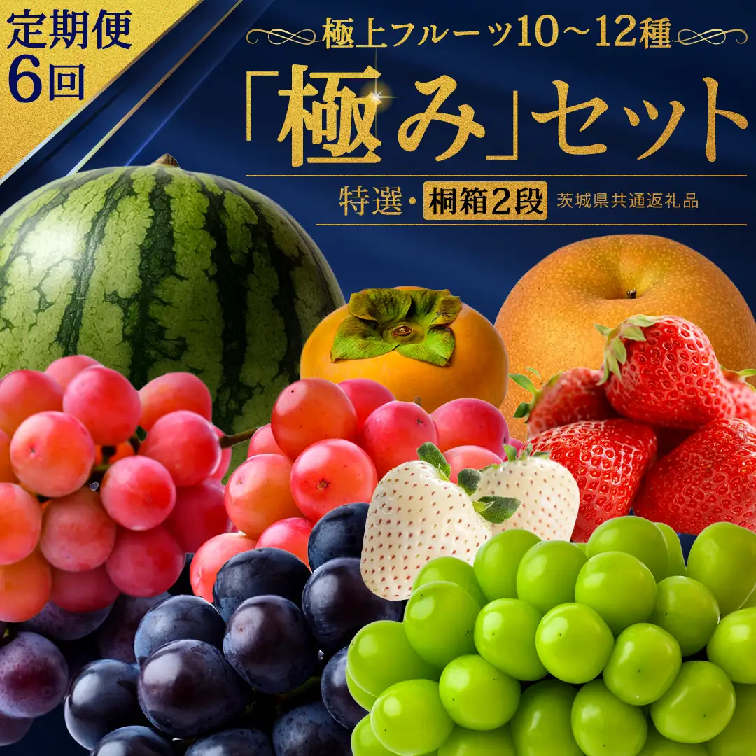 【定期便】 毎月1回連続6か月(計6回)【特選・桐箱2段】極上フルーツ10～12種「極み」セット（茨城県共通返礼品）  旬の果物 ギフト
