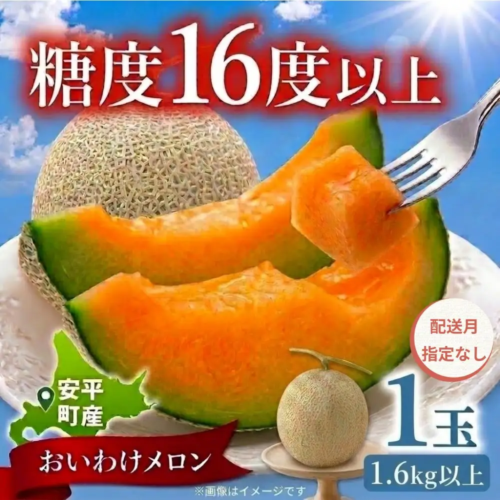 おいわけメロン 1玉 赤肉 糖度16度以上 先行予約【配送指定なし】