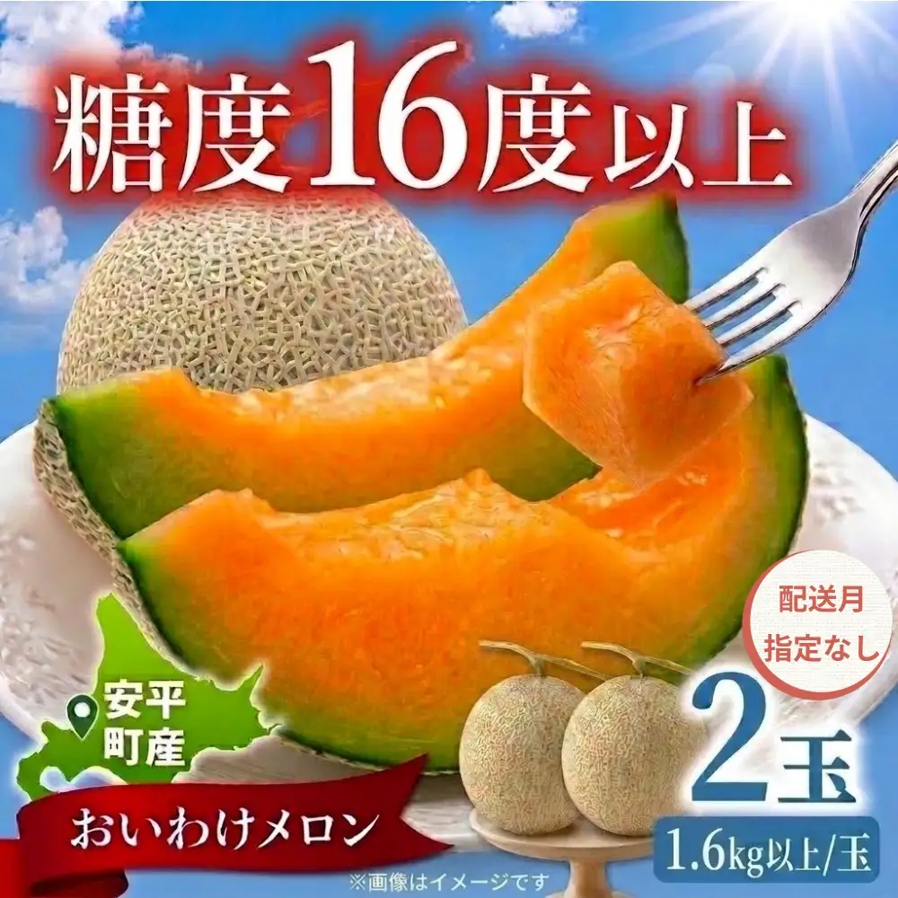 おいわけメロン 2玉 赤肉 糖度16度以上 先行予約【配送指定なし】