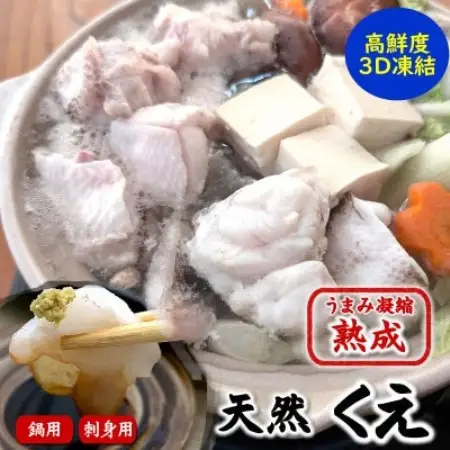 幻の高級魚 天然本クエ鍋用 500g(2-3人前)+お刺身 熟成 旨味凝縮 高鮮度3D凍結 大型使用【配送不可地域：離島】【1780006】