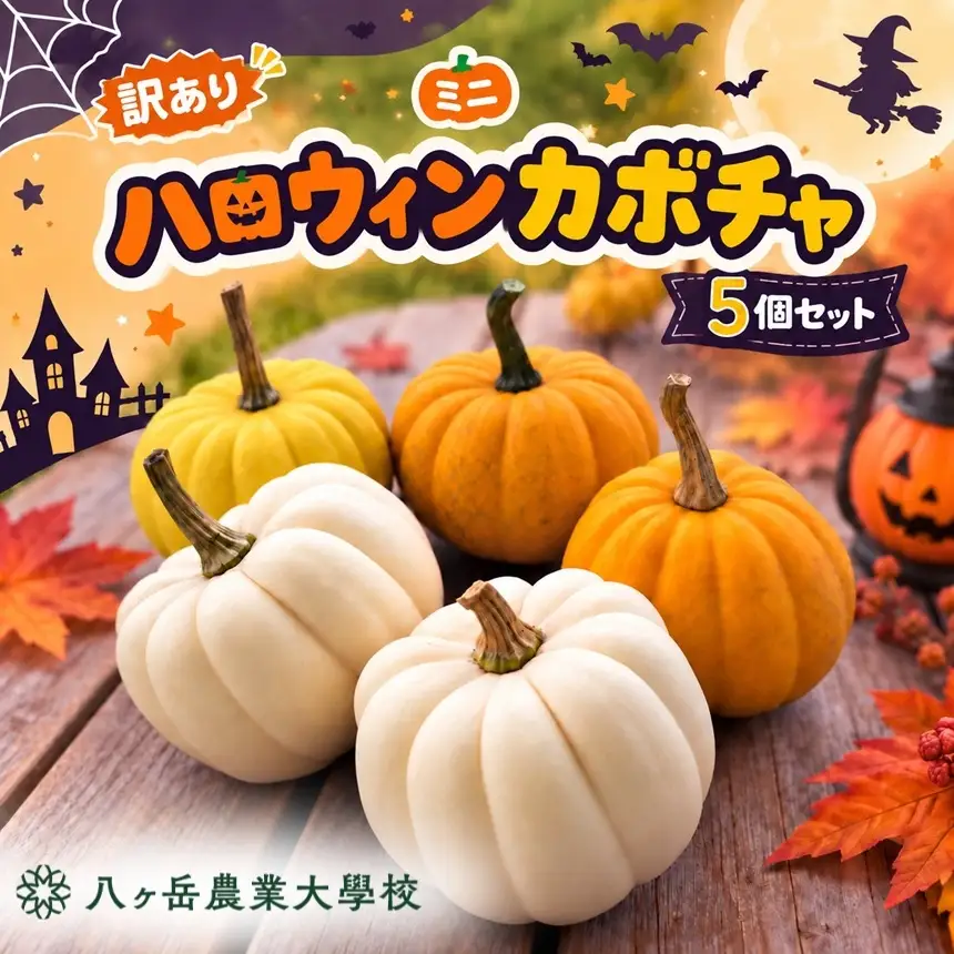 【訳あり】 ハロウィンカボチャ ミニ 5個セット | 八ヶ岳農業大学校