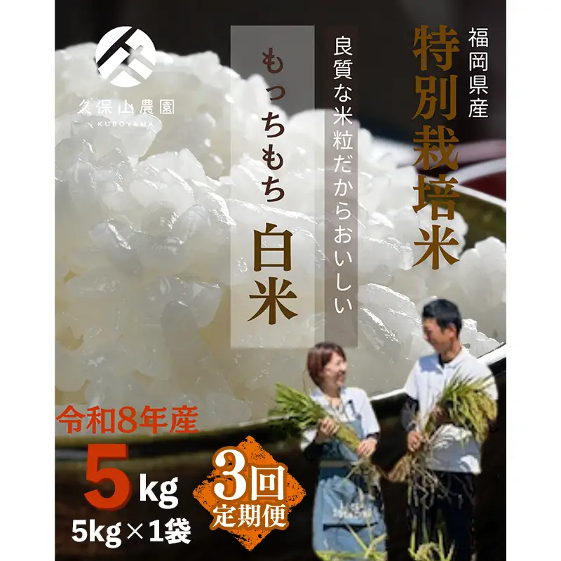 令和8年産【先行予約】【定期便3回】久保山百年米 特別栽培米 白米 5kg 夢つくし/元気つくし【定期便 精米 お米 米 ご飯 ごはん ブランド 元気つくし 夢つくし 農家直送 福岡県 筑前町 BT055】