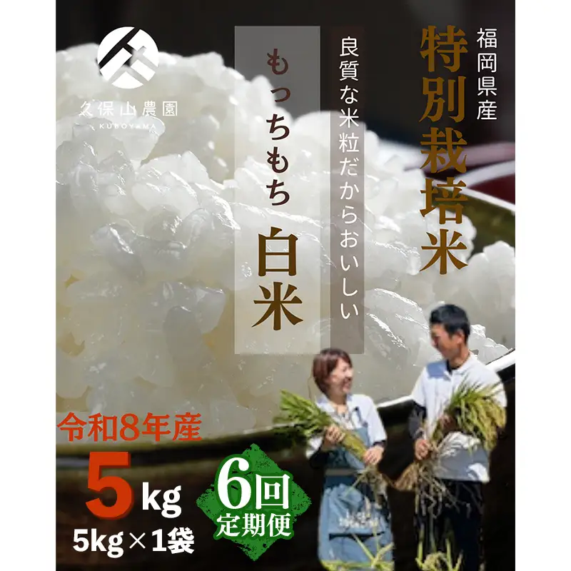 令和8年産【先行予約】【定期便6回】久保山百年米 特別栽培米 白米 5kg 夢つくし/元気つくし【定期便 精米 お米 米 ご飯 ごはん ブランド 元気つくし 夢つくし 農家直送 福岡県 筑前町 BT056】