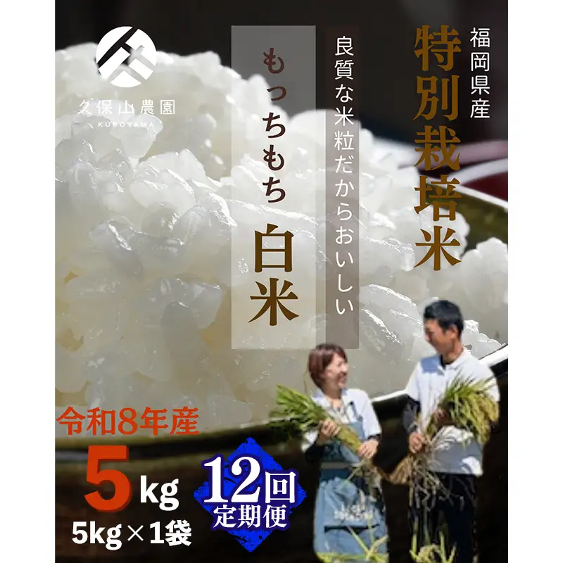 令和8年産【先行予約】【定期便12回】久保山百年米 特別栽培米 白米 5kg 夢つくし/元気つくし【定期便 精米 お米 米 ご飯 ごはん ブランド 元気つくし 夢つくし 農家直送 福岡県 筑前町 BT057】