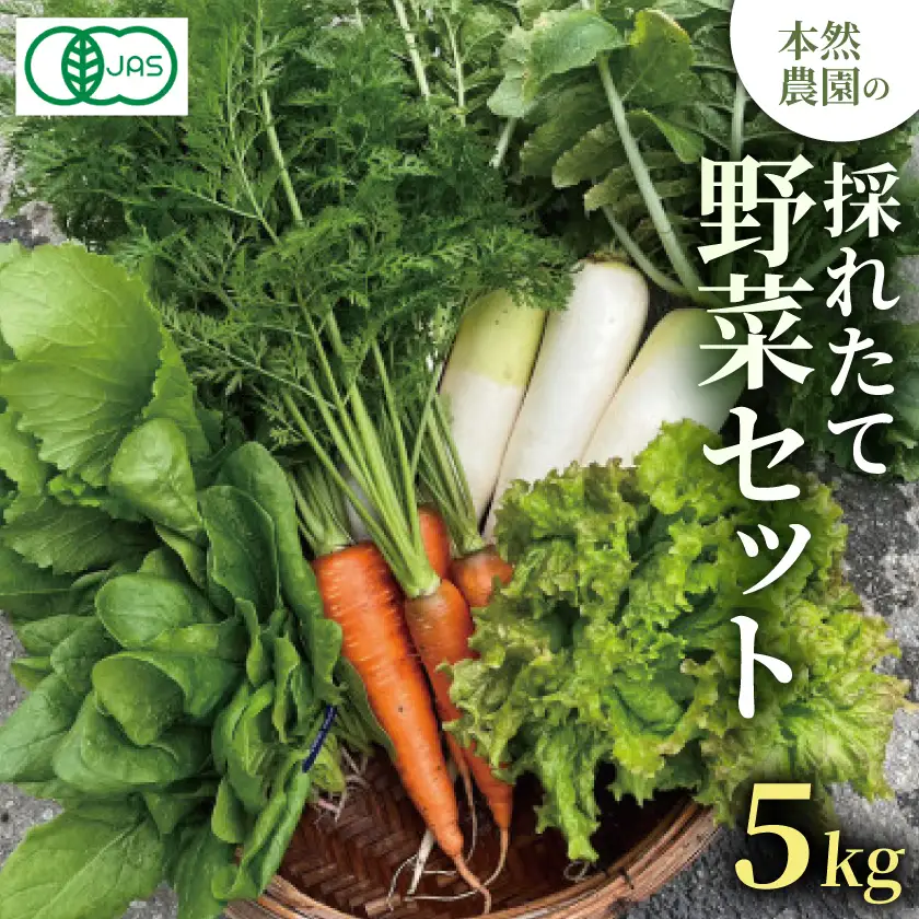 【有機JAS認証】本然農園の採れたて野菜セット5kg【配送不可地域：離島】【1779474】
