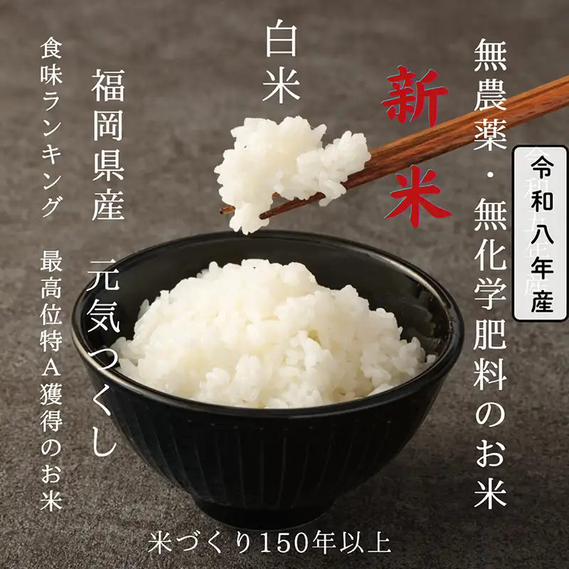 令和8年産【先行予約】無農薬・無化学肥料で育てた久保山百年米 白米 6kg(2kg×3袋) 元気つくし【精米 お米 米 ご飯 ごはん ブランド 元気つくし 農家直送 福岡県 筑前町 BT064】