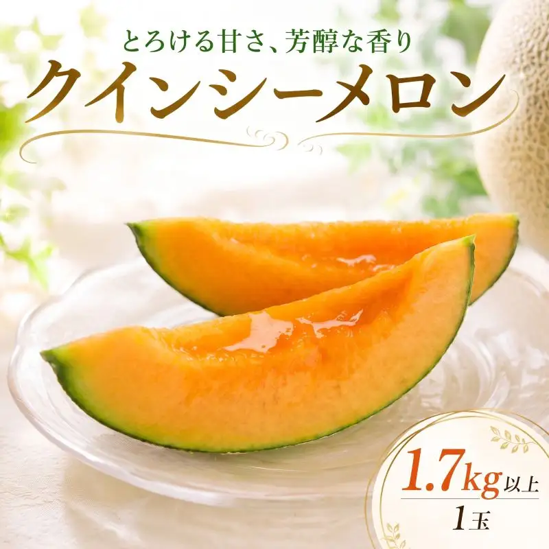 【2027年発送】 特大 赤肉メロン 1玉 1.7kg以上 クインシーメロン