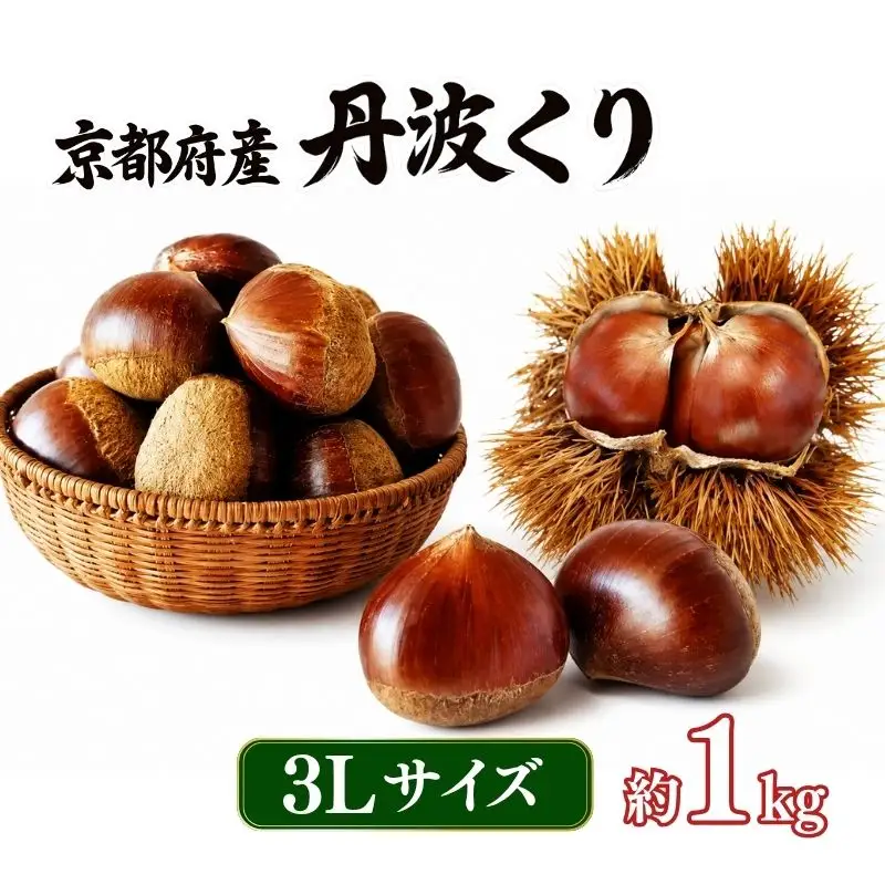先行予約 2026年度産 丹波くり 約1kg 3Lサイズ 栗 京都