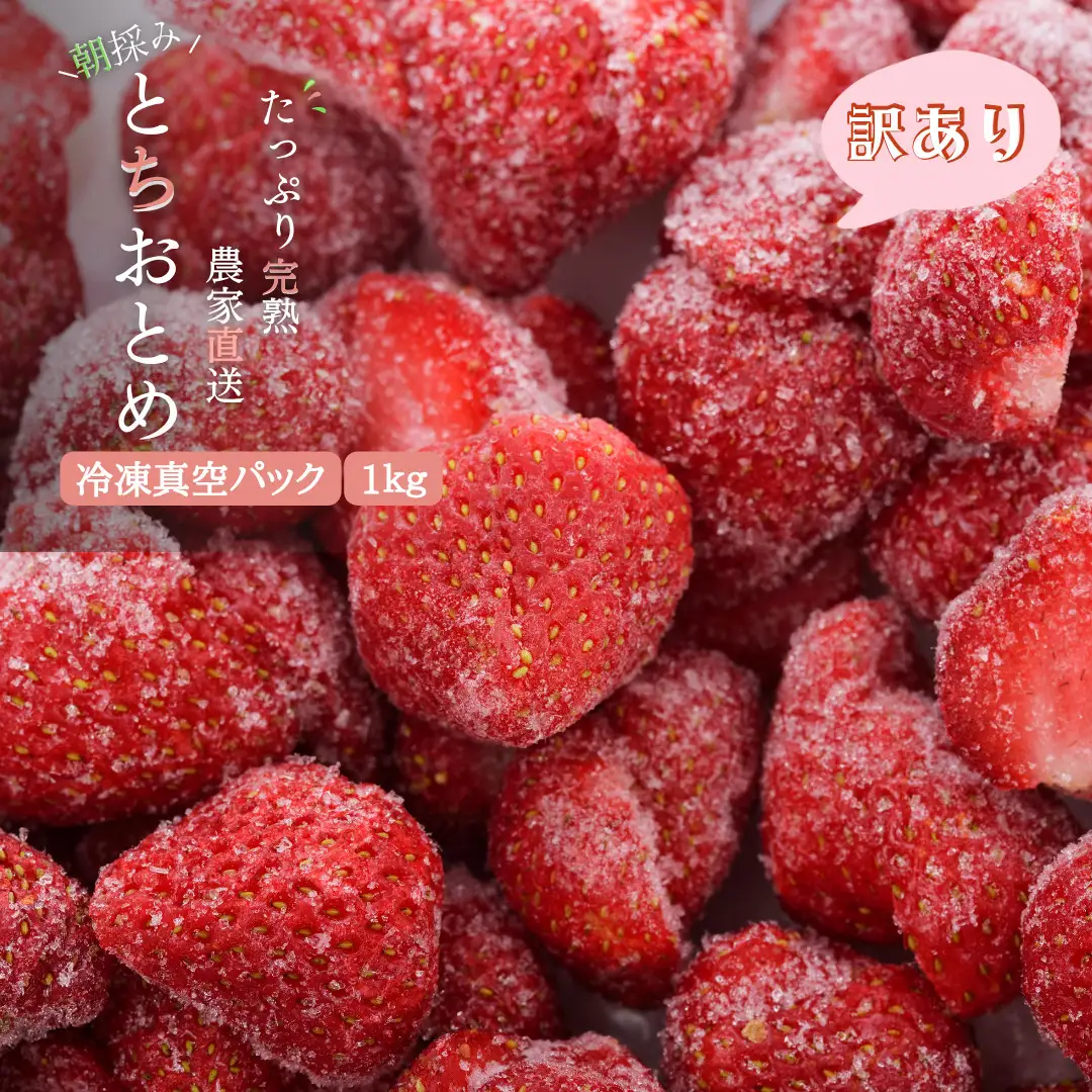 【訳あり/2027年3月より発送】完熟朝摘みとれたての冷凍いちご　とちおとめ　約1kg（500g×2パック）　農家直送の冷凍苺を真空パックでお届け