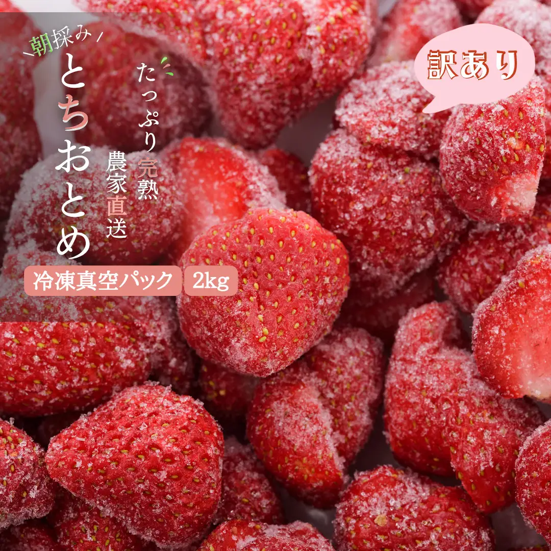 【訳あり/2027年3月より発送】完熟朝摘みとれたての冷凍いちご　とちおとめ　約2kg（500g×4パック）　農家直送の冷凍苺を真空パックでお届け 20260709～
