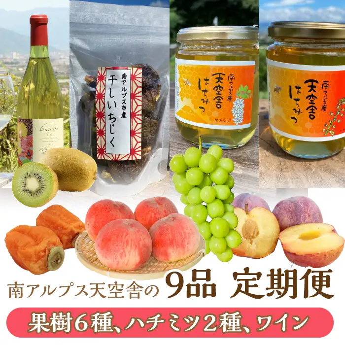 5-159 南アルプス天空舎の９品（果樹各種、ハチミツ、ワイン、100％ジュース） ALPAB013