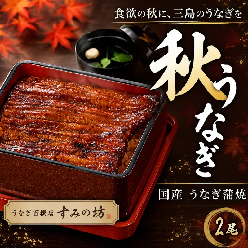 【秋うなぎ】 国産 うなぎの蒲焼き 2尾 すみの坊