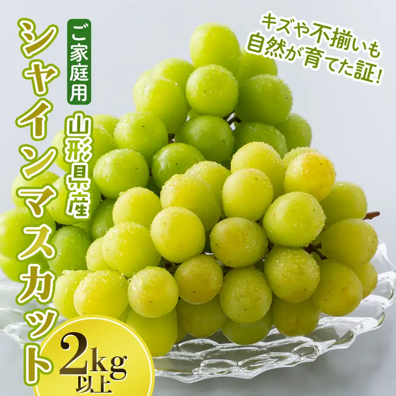 FYN6-635 ご家庭用 山形県産 大粒ぶどう シャインマスカット 2kg以上(4~7房) 種無し 葡萄 ぶどう ブドウ マスカット 果物 くだもの フルーツ 規格外 訳あり ワケアリ 自宅 家庭 山形県 西川町 月山
