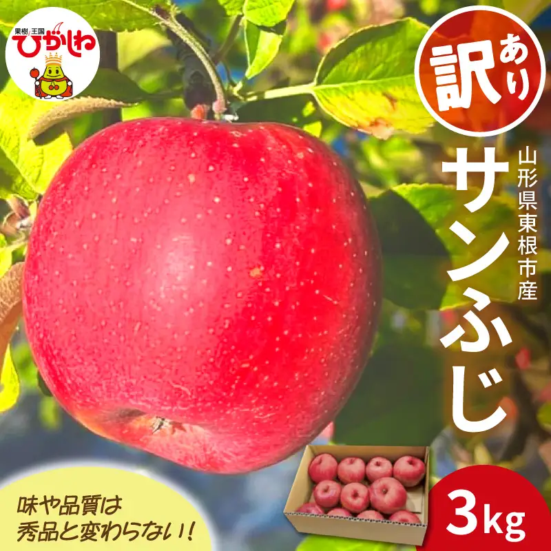 2026年産 りんご 訳あり サンふじ 3kg りんご サンふじ