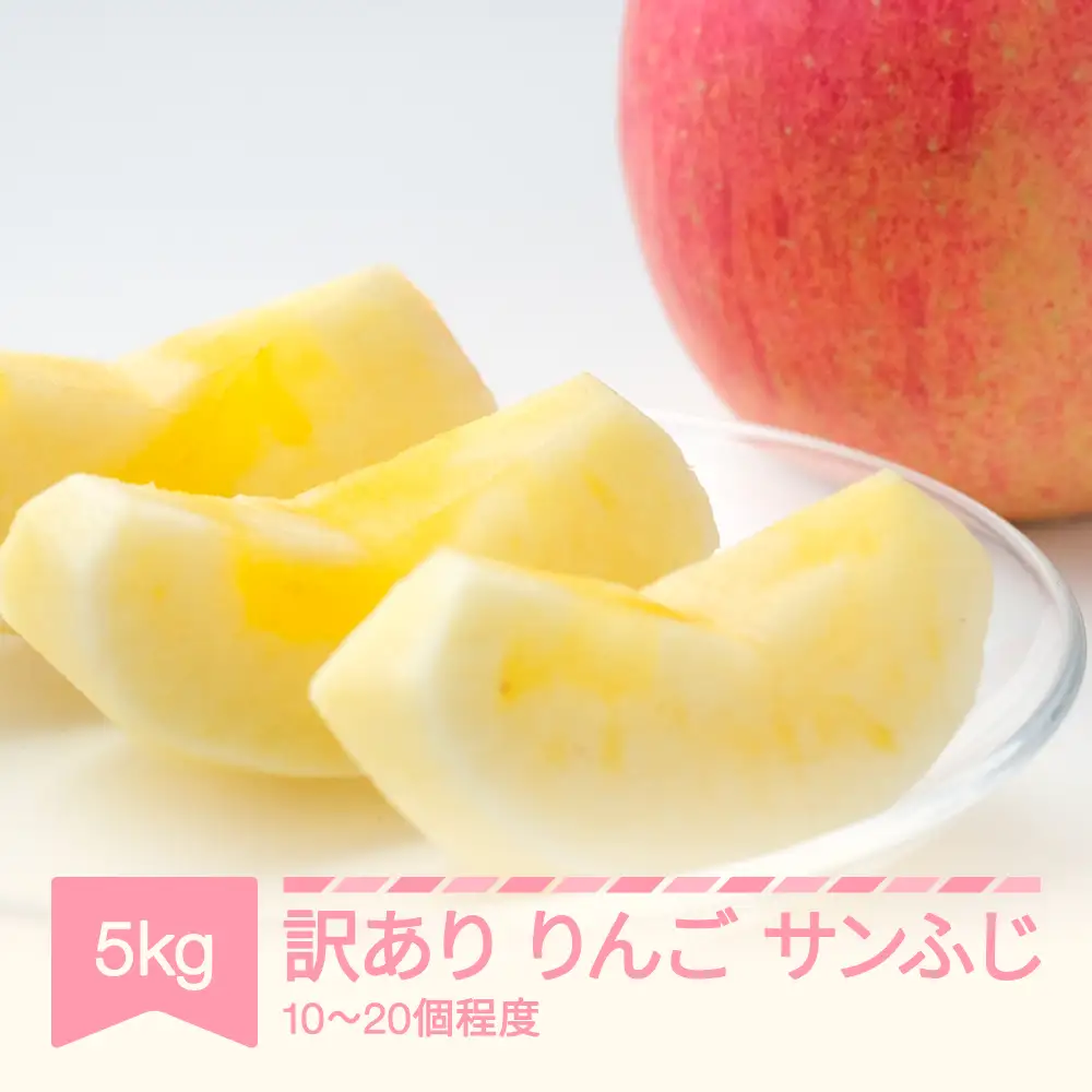 先行予約 訳あり りんご サンふじ 約5kg 令和8年産 sb-risfw5