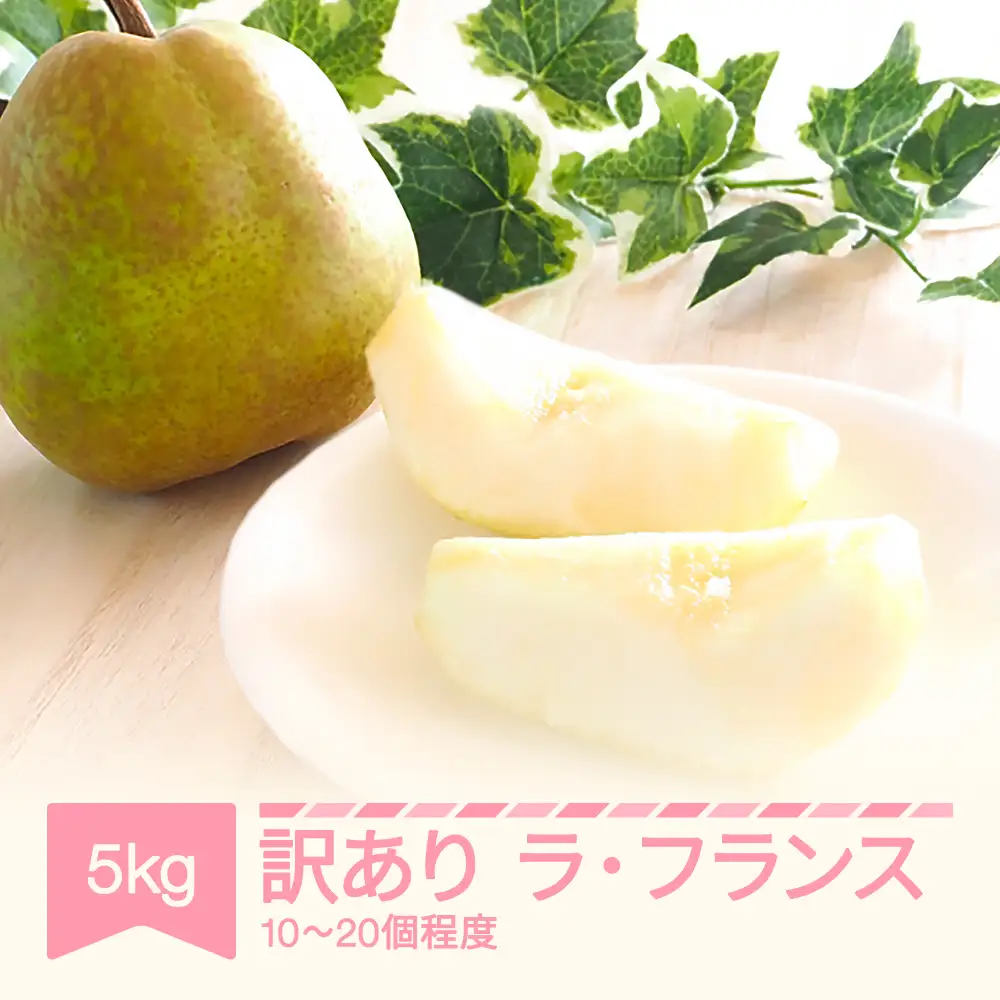 先行予約 訳あり ラ・フランス 約5kg 令和8年産 sb-laxxw5